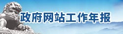 政府網站工作年報